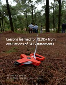 Lessons learned for REDD+ from evaluations of GHG statements Till Neeff and Donna Lee For the Global Forest Observations Initiative