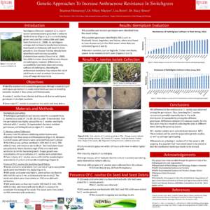 Genetic Approaches To Increase Anthracnose Resistance In Switchgrass Shannon Dr. Hilary  2