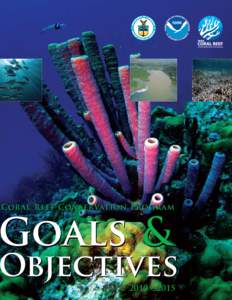 Coral reefs / Biology / Physical geography / Water / Coral Triangle / Coral bleaching / Resilience of coral reefs / Marine protected area / Coral / Conservation biology / Great Barrier Reef / National Ocean Service