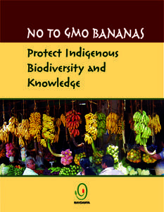 No to GMO bananas Protect Indigenous Biodiversity and Knowledge  Section ONE