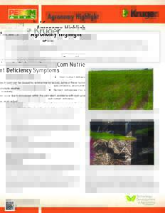 Soil science / Physiological plant disorders / Biology / Soil / Nutrient management / Plant nutrition / Zinc deficiency / Nitrogen deficiency / Nutrient / Chlorosis / Micronutrient deficiency