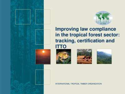 Improving law compliance in the tropical forest sector: tracking, certification and ITTO  INTERNATIONAL TROPICAL TIMBER ORGANIZATION