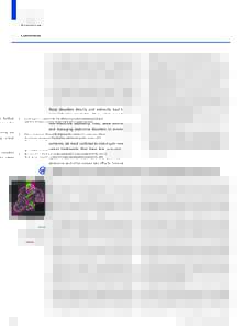 Epigenetics in health and disease: heralding the EWAS era