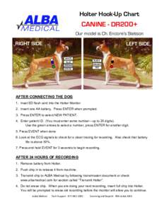 Holter Hook-Up Chart  CANINE - DR200+ Our model is Ch. Encore’s Stetson  RIGHT SIDE