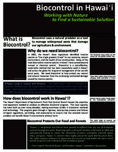Biocontrol in Hawai‘i  Working with Nature to Find a Sustainable Solution Meet the good bugs!