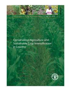 Integrated Crop Management  Vol. 10 –2010 Conservation Agriculture and Sustainable Crop Intensiﬁcation