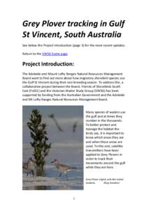 Grey Plover tracking in Gulf St Vincent, South Australia See below the Project Introduction (page 3) for the most recent updates. Return to the VWSG home page  Project Introduction: