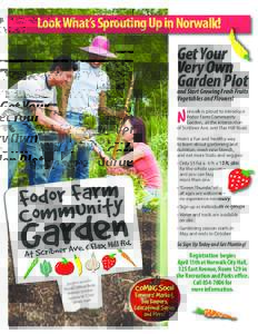 LookWhat’s Sprouting Up in Norwalk!  Get Your Very Own Garden Plot and Start Growing Fresh Fruits