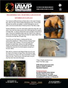 PRE-CONFERENCE TOUR - THE MOTHERS & CUBS ADVENTURE SEPTEMBER 18TH TO 24TH, 2014 Your exclusive wildlife adventure will take place on the coast of Hudson Bay, within the Cape Tatnam Wildlife Management Area. Churchill Wil