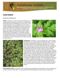 HERB ROBERT Geranium robertianum THREAT: Herb Robert, a native of Eurasia and North Africa, was introduced either as a garden ornamental or a medicinal plant, and has been present in Washington since at least[removed]It ha
