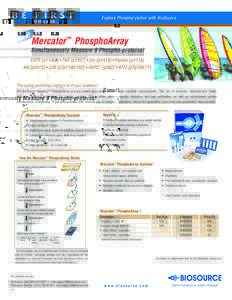 Explore Phosphorylation with BioSource  ! New Mercator™  PhosphoArray