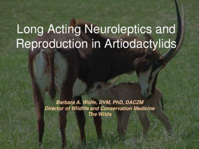Long Acting Neuroleptics and Reproduction in Artiodactylids Barbara A. Wolfe, DVM, PhD, DACZM Director of Wildlife and Conservation Medicine The Wilds