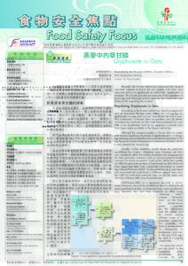 PTT Bulletin Board System / Taiwanese culture / Draft:Imagine Optic