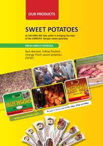 OUR PRODUCTS  SWEET POTATOES At SACOMA WE take pride in bringing the best of the KERICHO Kenyan sweet potatoes