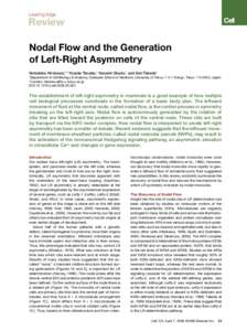 Leading Edge  Review Nodal Flow and the Generation of Left-Right Asymmetry Nobutaka Hirokawa,1,* Yosuke Tanaka,1 Yasushi Okada,1 and Sen Takeda1