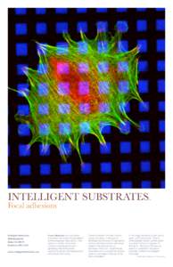 INTELLIGENT SUBSTRATES  TM Focal adhesions