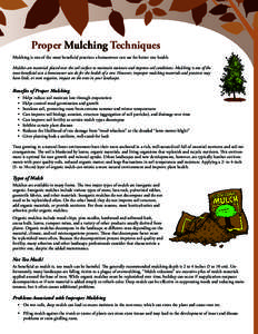 Proper Mulching Techniques Mulching is one of the most beneficial practices a homeowner can use for better tree health. Mulches are materials placed over the soil surface to maintain moisture and improve soil conditions.
