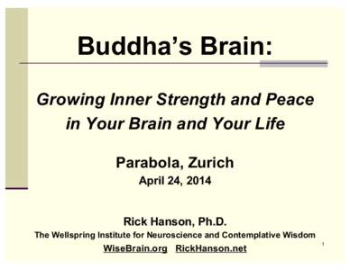 Buddha’s Brain: Growing Inner Strength and Peace in Your Brain and Your Life Parabola, Zurich April 24, 2014