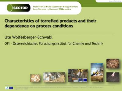 SECTOR - Production of Solid Sustainable Energy Carriers from Biomass by Means of Torrefaction