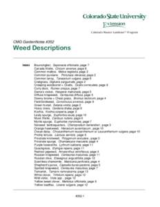 CMG GardenNotes #352  Weed Descriptions INDEX  Bouncingbet, Saponaria officinalis, page 7