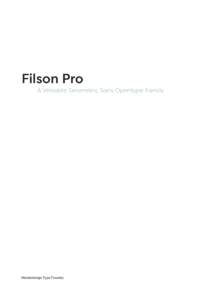 Filson Pro  A Versatile Geometric Sans Opentype Family Mostardesign Type Foundry