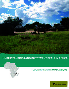 undecided, but there has been a major rethinking.  UNDERSTANDING LAND INVESTMENT DEALS IN AFRICA COUNTRY REPORT: MOZAMBIQUE