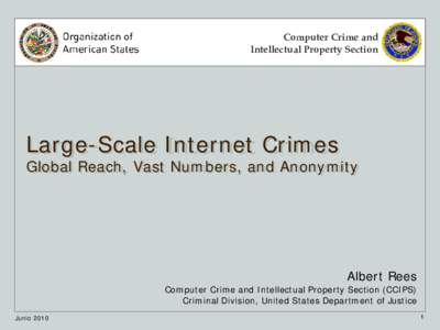 Computer Crime and Intellectual Property Section Large-Scale Internet Crimes  Global Reach, Vast Numbers, and Anonymity