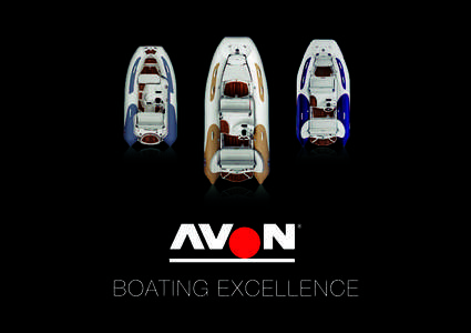 BOATING EXCELLENCE  TUBE COLOR “You may spend more time on your jet tender than on your yacht”