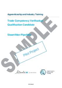Apprenticeship and Industry Training  Trade Competency Verification Qualification Candidate  Steamfitter-Pipefitter