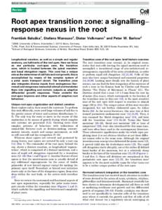 Root apex transition zone: a signallingâ€“response nexus in the root