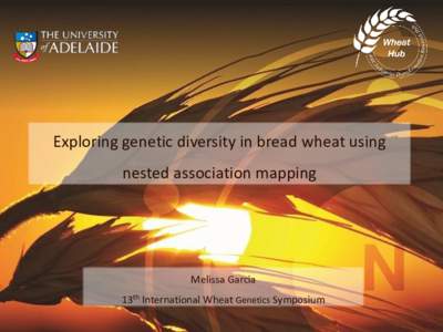 Exploring genetic diversity in bread wheat using nested association mapping Melissa Garcia 13th International Wheat Genetics Symposium