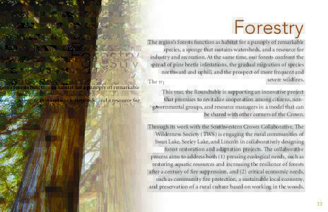 Forestry The region’s forests function as habitat for a panoply of remarkable species, a sponge that sustains watersheds, and a resource for industry and recreation. At the same time, our forests confront the spread of