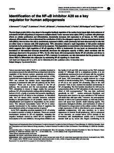 Identification of the NF-&kappa;B inhibitor A20 as a key regulator for human adipogenesis