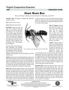 2005  PUBLICATION[removed]Giant Resin Bee Theresa A. Dellinger, Laboratory Specialist, Department of Entomology, Virginia Tech