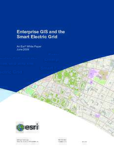 Enterprise GIS and the Smart Electric Grid An Esri® White Paper June 2009  Copyright © 2012 Esri