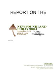 REPORT ON THE NEWFOUNDLAND FORAY 2004 September[removed]Killdevil Lodge