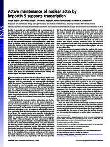 Active maintenance of nuclear actin by importin 9 supports transcription Joseph Dopiea,1, Kari-Pekka Skarpa,1, Eeva Kaisa Rajakyläa, Kimmo Tanhuanpääb, and Maria K. Vartiainena,2 a  Program in Cell and Molecular Biolo