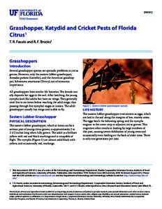 ENY813  Grasshopper, Katydid and Cricket Pests of Florida Citrus1 T. R. Fasulo and R. F. Brooks2