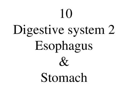 10 Digestive system 2 Esophagus & Stomach