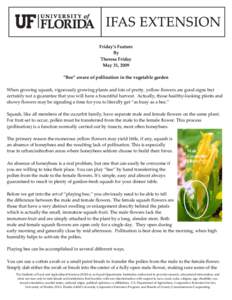 Botany / Plant morphology / Plant sexuality / Pollinators / Symbiosis / Flower / Squash / Hand-pollination / Zucchini / Plant reproduction / Pollination / Biology
