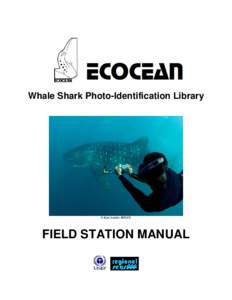 Whale Shark Photo-Identification Library  © Kurt Amsler, ROLEX FIELD STATION MANUAL
