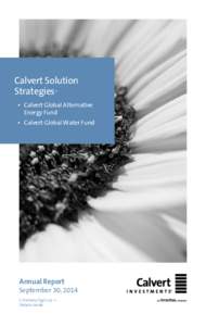 Calvert Solution Strategies ™ •	 Calvert Global Alternative Energy Fund