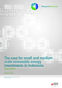 MarThe case for small and medium scale renewable energy investments in Indonesia Policy Brief