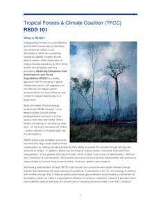Tropical Forests & Climate Coalition (TFCC) REDD 101 What is REDD? Safeguarding forests is a cost-effective and common sense way to decrease the amount of carbon in our