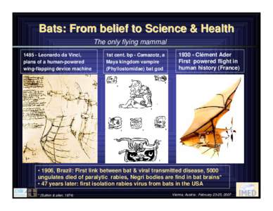 Bats: From belief to Science & Health The only flying mammal[removed]Leonardo da Vinci, plans of a human-powered wing-flapping device machine