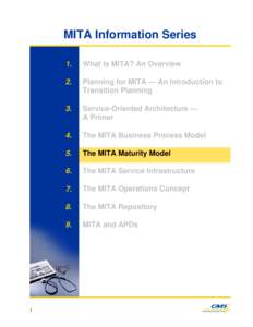 Microsoft PowerPoint - MITA Maturity Model.ppt