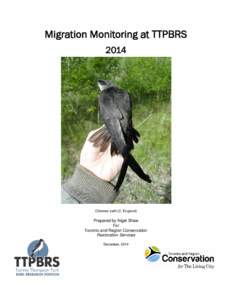 Geography of Ontario / Ornithology / Animal identification / Bird conservation / Bird ringing / Bird migration / Leslie Street Spit / Lesser yellowlegs / Biota
