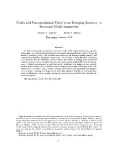 Credit and macroprudential policy in an emerging economy: a structural model assessment