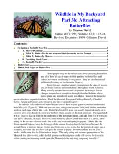 Wildlife in My Backyard Part 3b: Attracting Butterflies