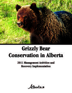 Grizzly Bear Conservation in Alberta